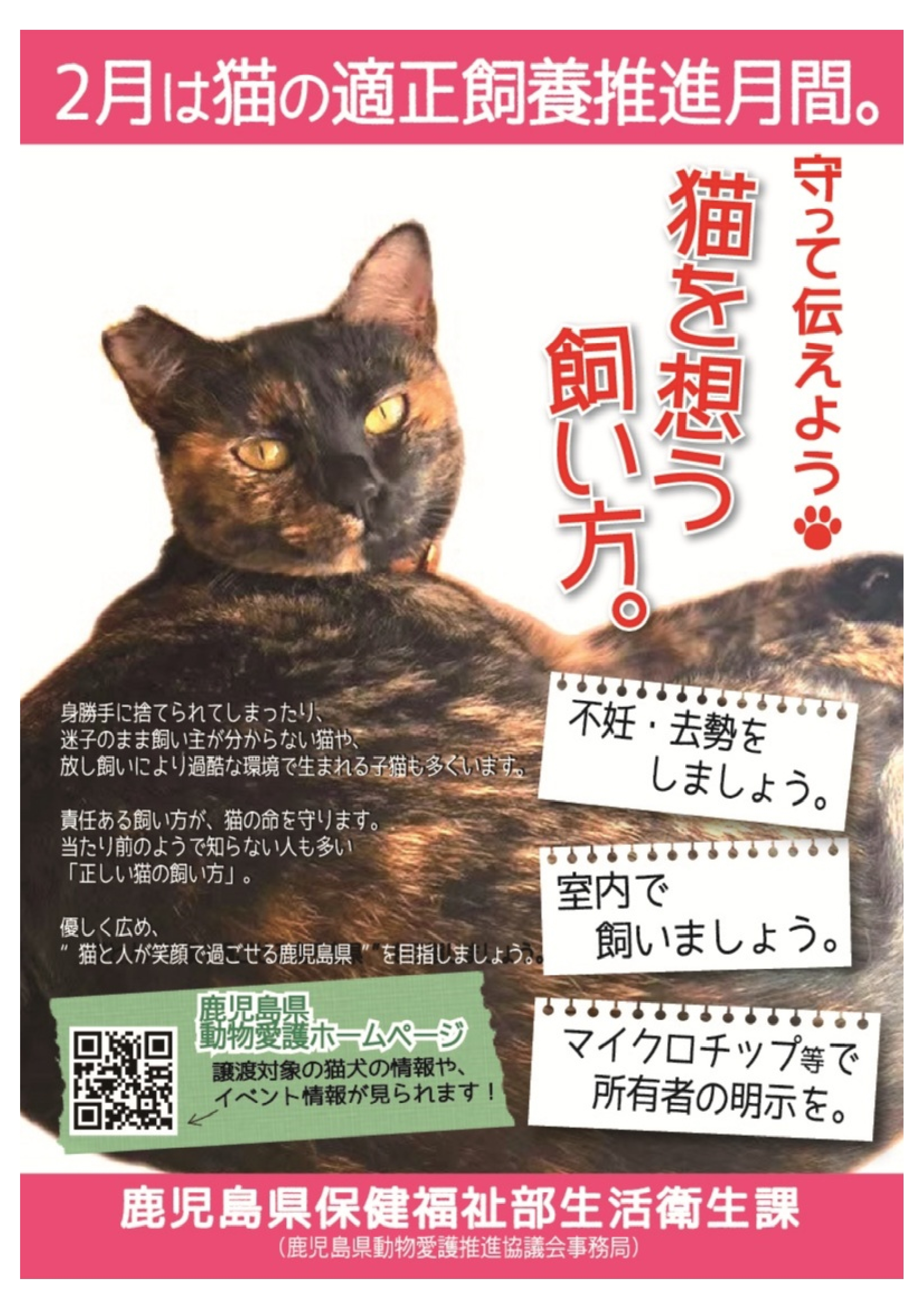 猫の適正飼養月間.jpg