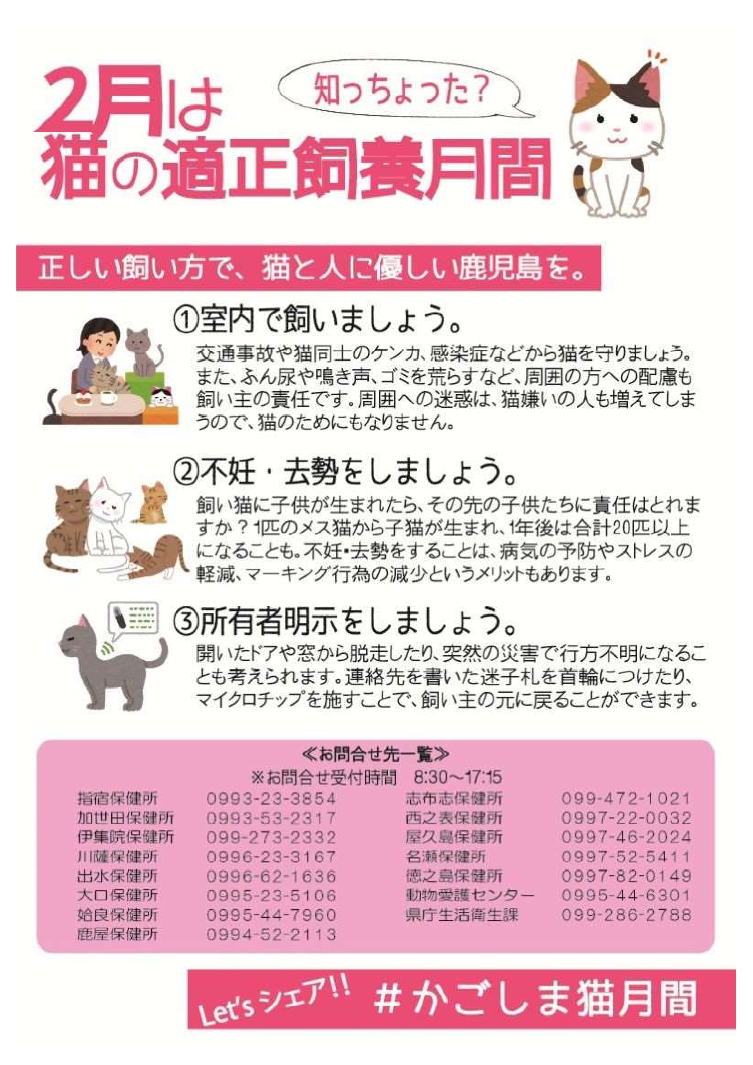 猫の適正飼養月間裏.jpg