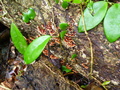 P1090310.JPG