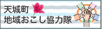 天城町地域おこし協力隊